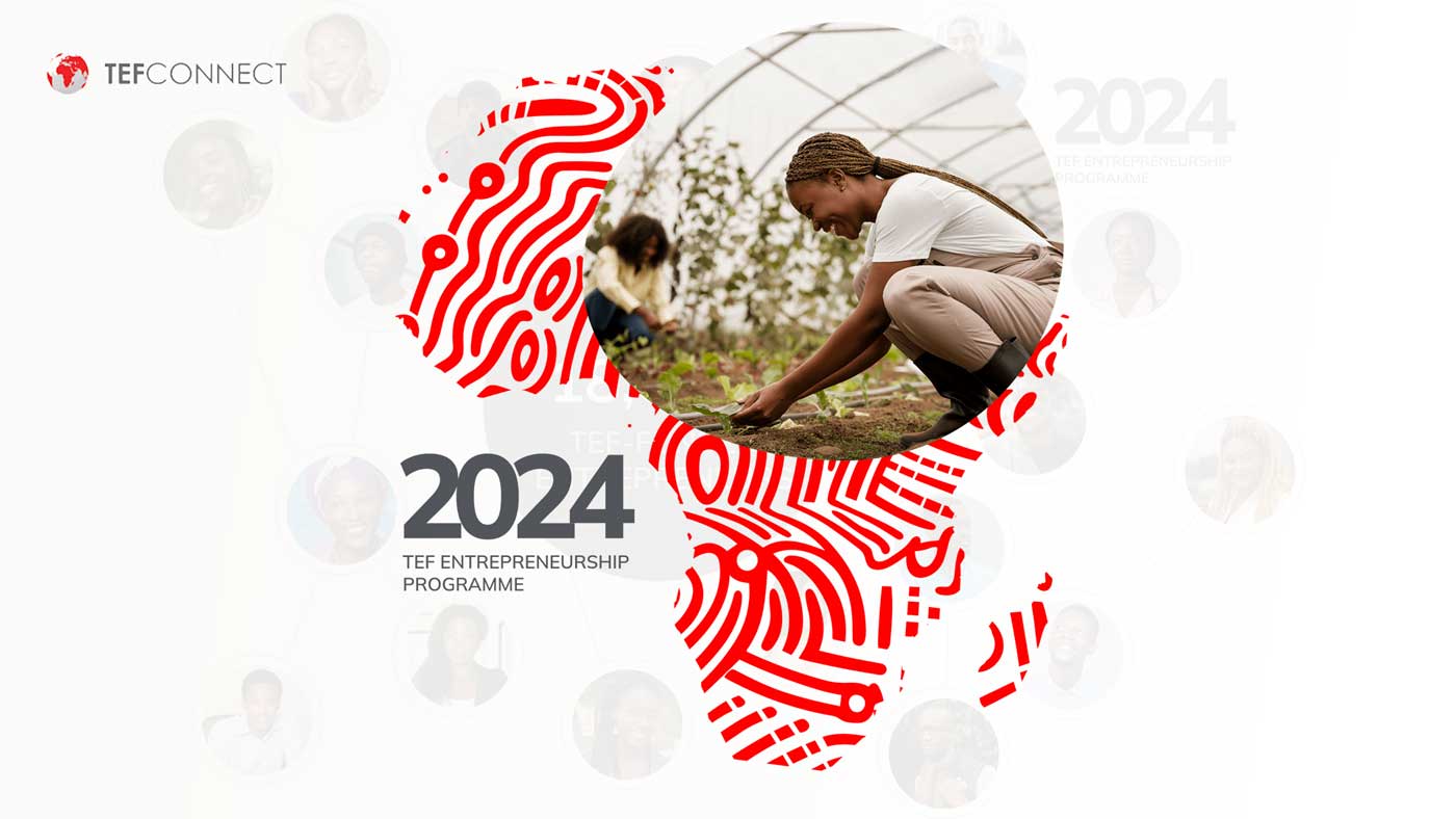 TEFConnect 2024 financement de 5 000 chacun aux entrepreneurs africains